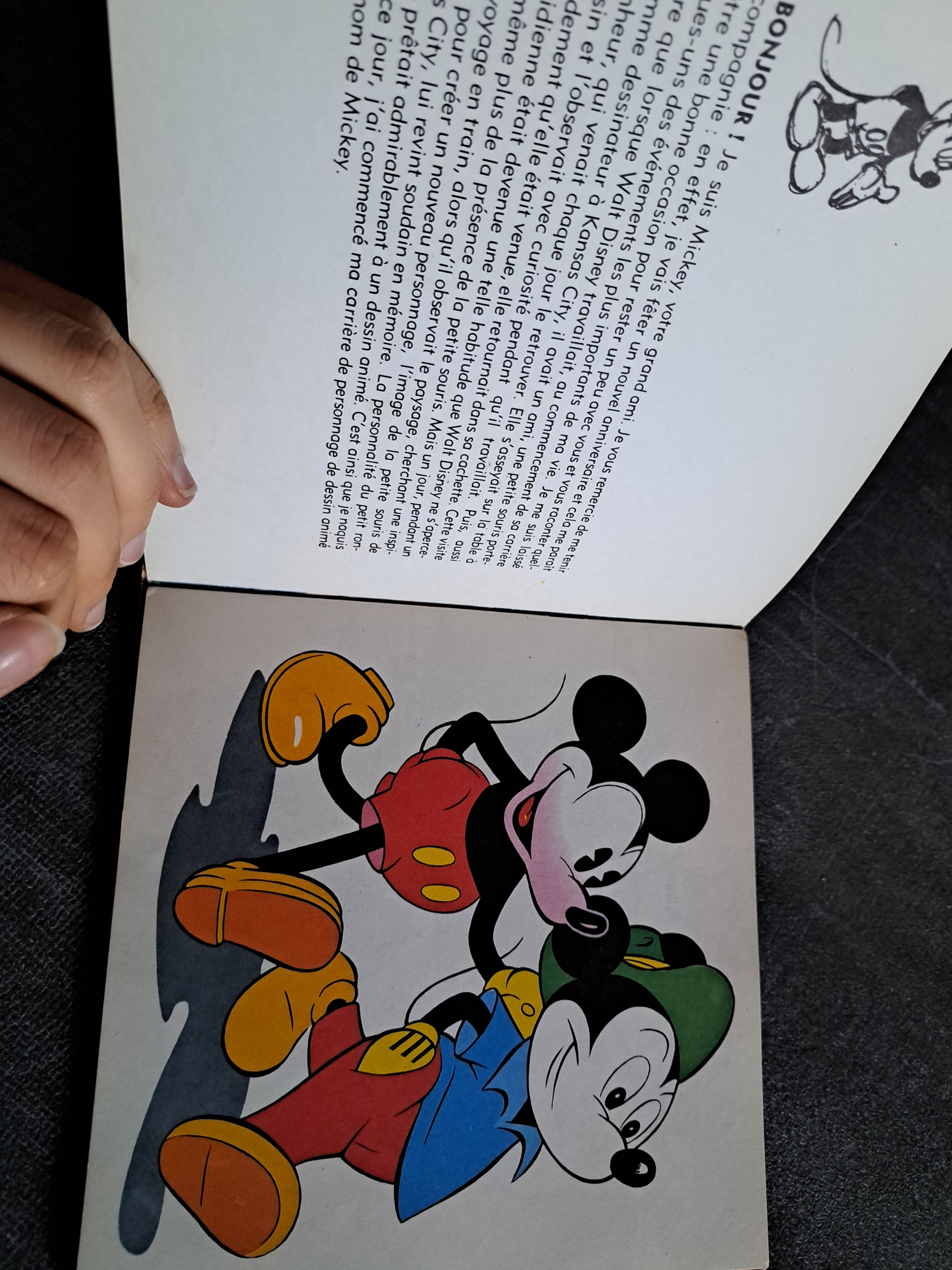 Libro con disco mickey disneyland